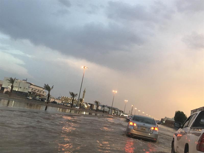  أمطار المدينة