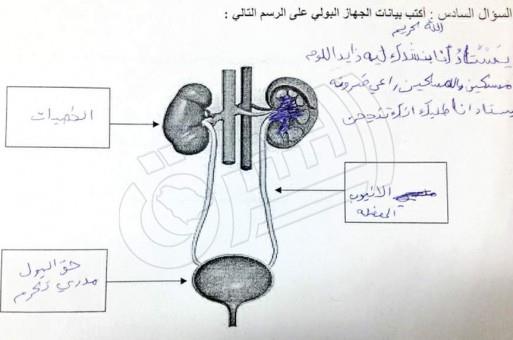 طالب كتب قصيدة يستعطف فيها معلمه 