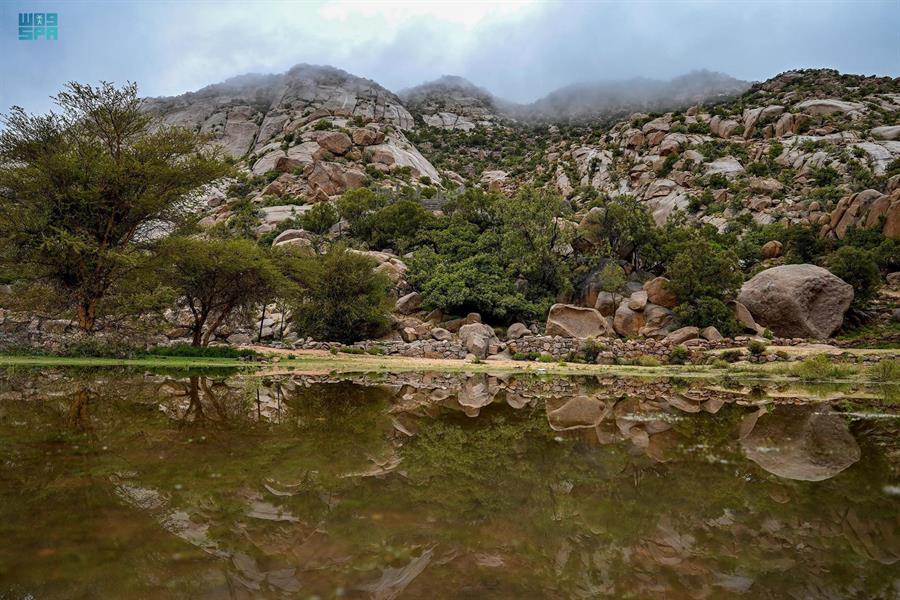 هطول أمطار من خفيفة إلى متوسطة على الرياض وعدد من المدن (صور)