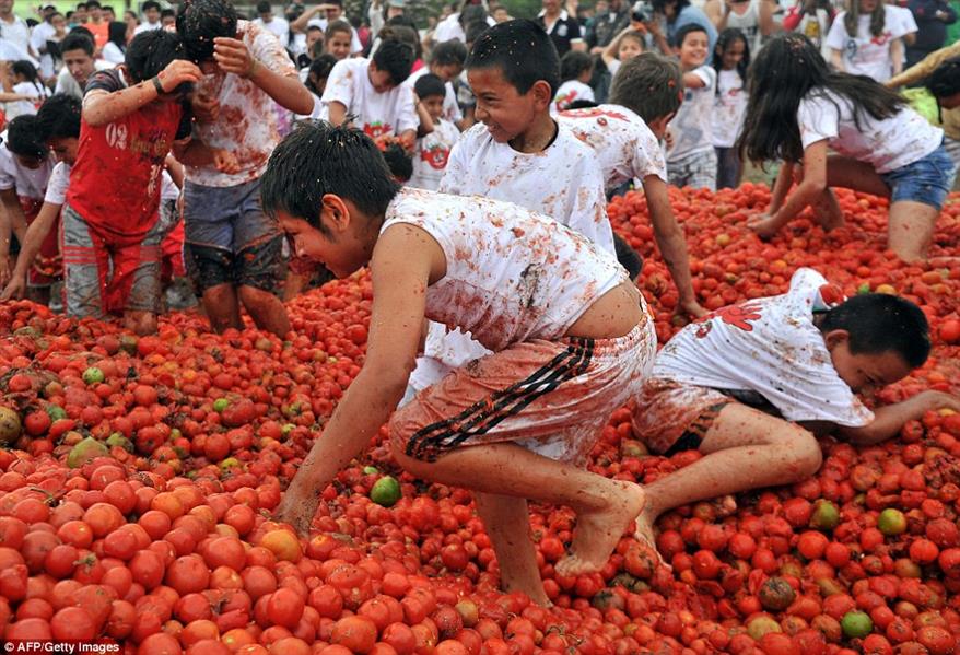 مهرجان الطماطم مهرجان الطماطم