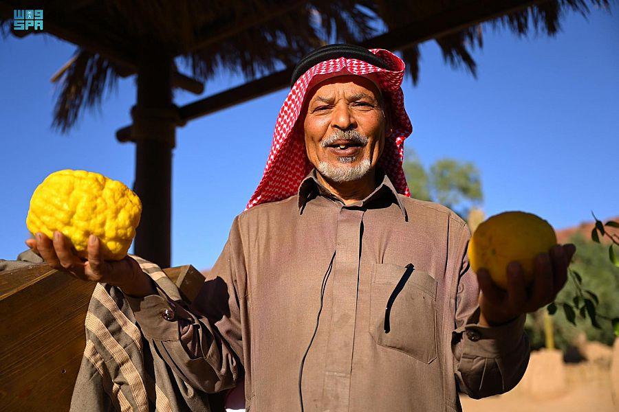 "العلا" تنظم مهرجان الحمضيات الثاني