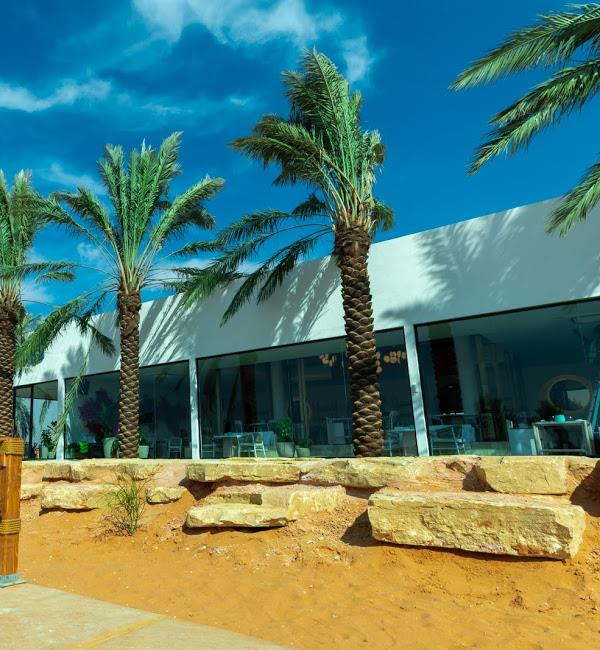 اوايسس الرياض اوايسس الرياض