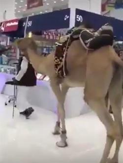 صورة صورة