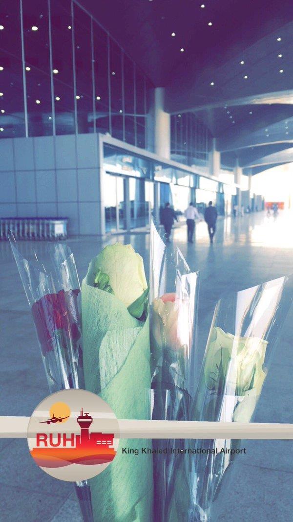 الصور الصور