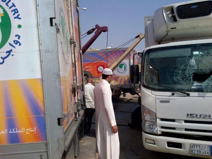  انقلاب دينا دجاج الوطنية 