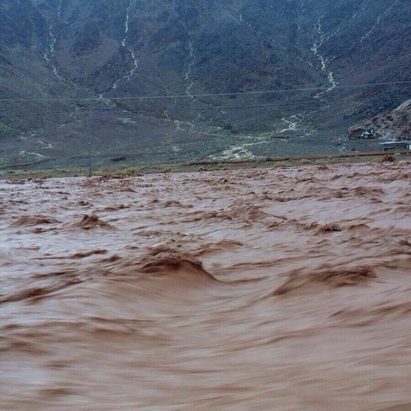 بالفيديو والصور.. أمطار وسيول بعدد من الأودية بمنطقة تبوك صباح اليوم
