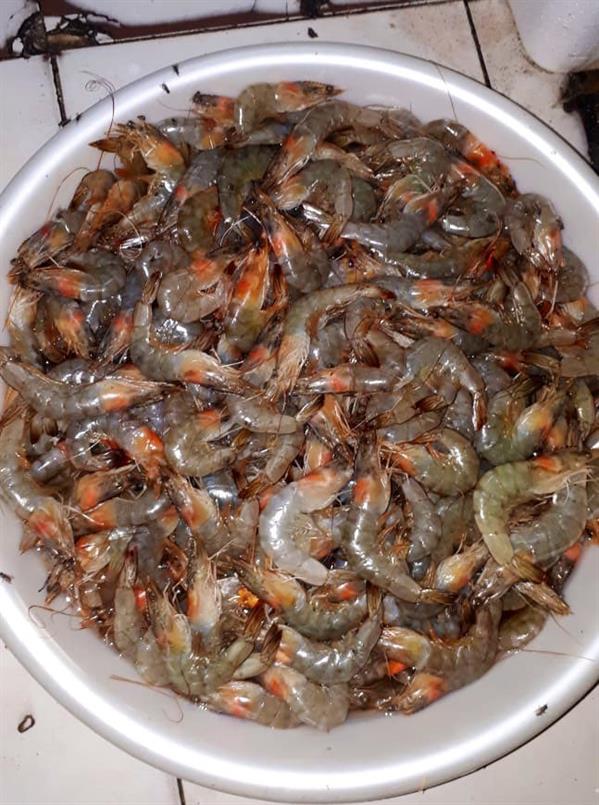 ضبط 23 طناً من المواد الغذائية الفاسدة داخل 5 عمائر بـ