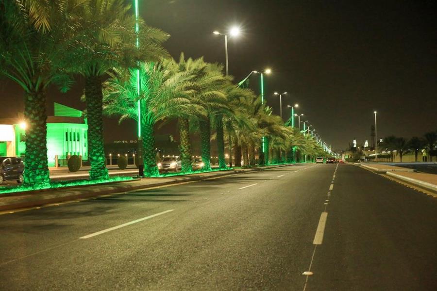 اليوم الوطني