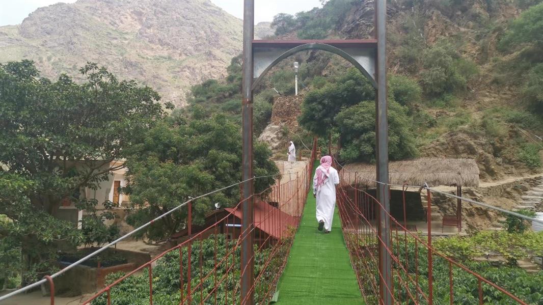 جسر مُعلق بجازان