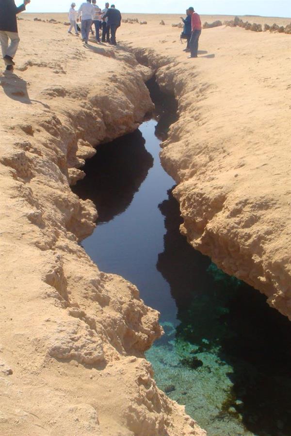 بالصور.. هنا 