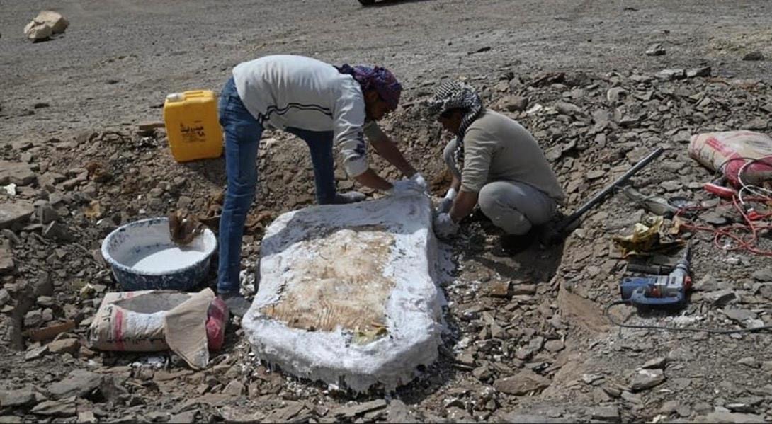 بالصور من مصر.. بقايا أسماك وزواحف تعود لعصر الديناصورات