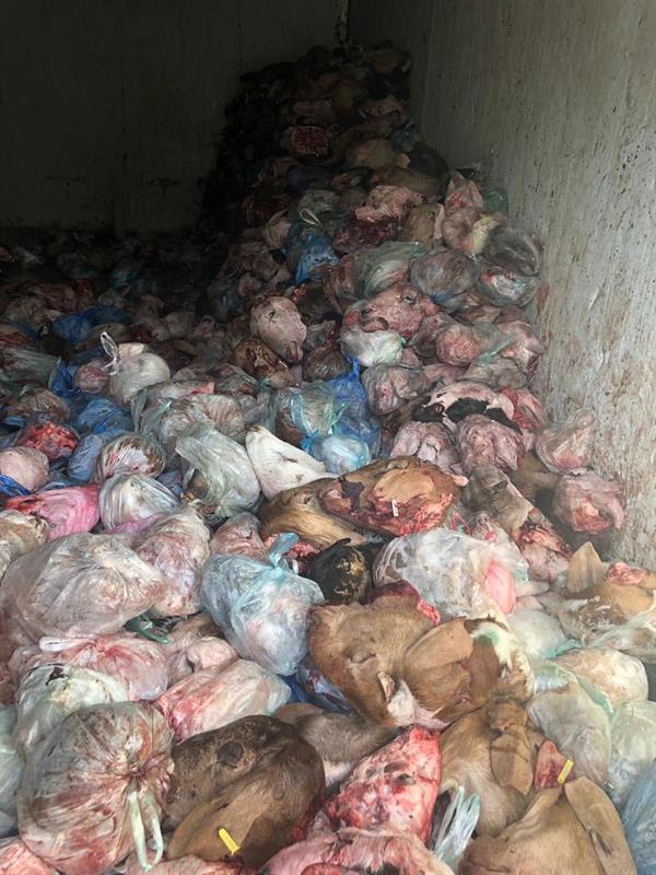 امانة الطائف