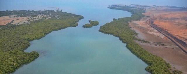 1285 جزيرة تمتلكها المملكة في البحر الأحمر والخليج العربي.. تعرف على بعضها (صور)