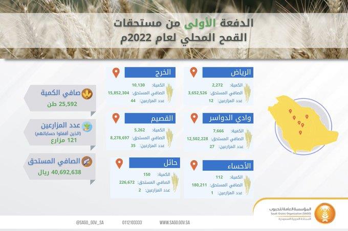 انفوجرافيك