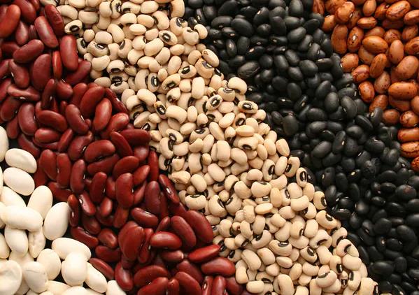 الكربوهيدرات