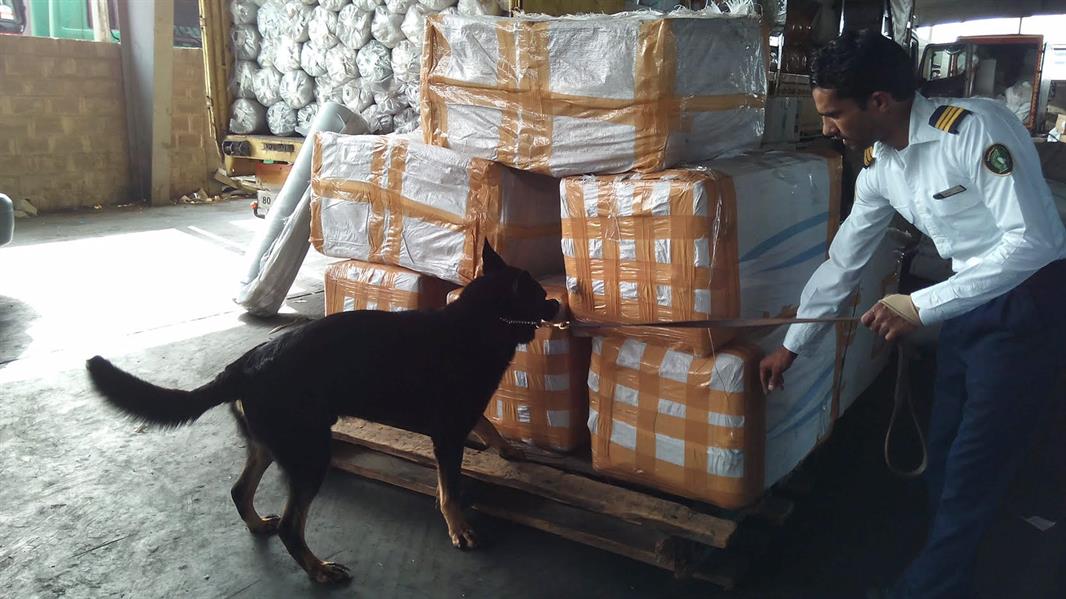 جمرك ميناء ضباء منجزات وضبطيات لأكبر عمليات التهريب