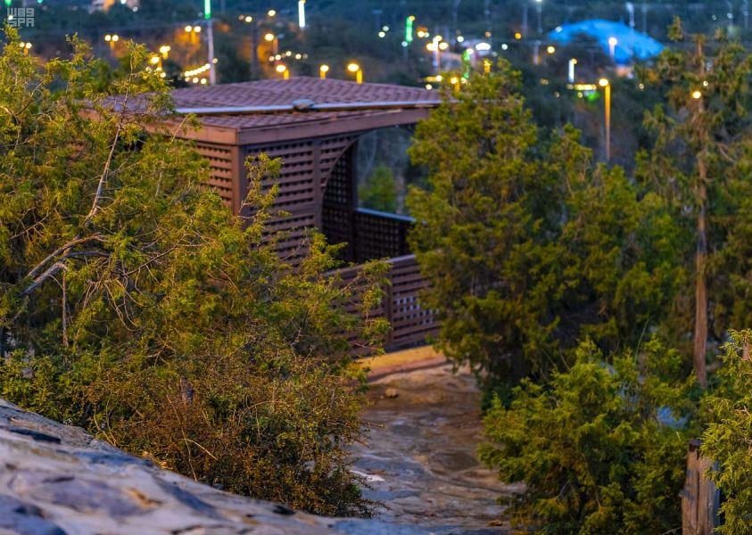 جانب من الطبيعة