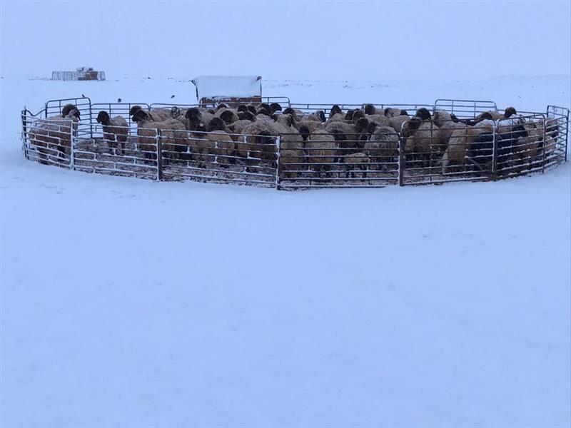 صور وفيديوهات لمناظر الثلوج الخلابة وهي تغطي مسطحات المناطق الشمالية