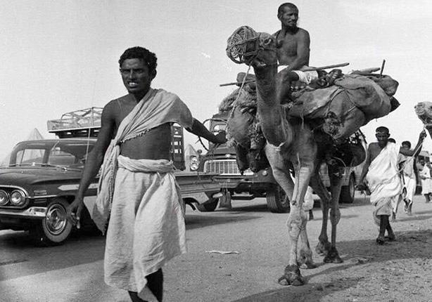 الأوبئة والغلاء الأوبئة والغلاء