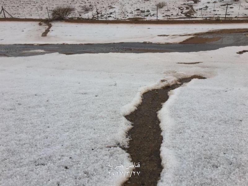 الصورة الصورة