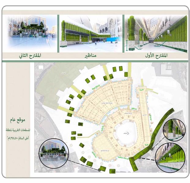 مقترح بتشجير ساحات المسجد الحرام لهذه الأهداف مقترح بتشجير ساحات المسجد الحرام لهذه الأهداف