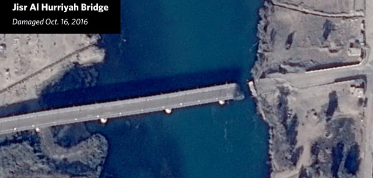 الصور الصور