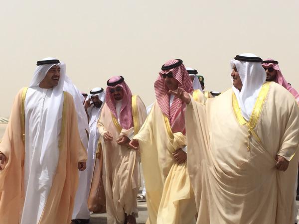 الصور الصور