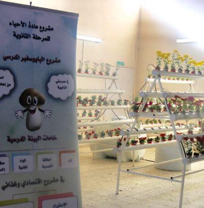 معلمة أحياء بتعليم الطائف تنجح في استثمار المخلفات المدرسية لاستزراع الفطر النباتي