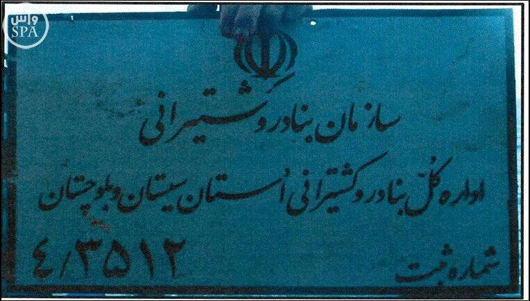 الصور الصور