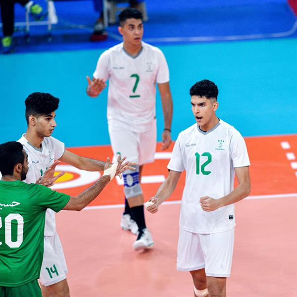 أخضر الطائرة