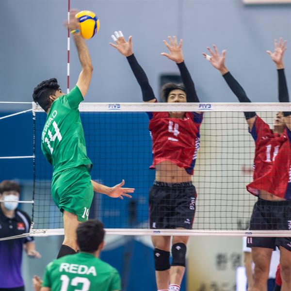 أخضر الطائرة أخضر الطائرة