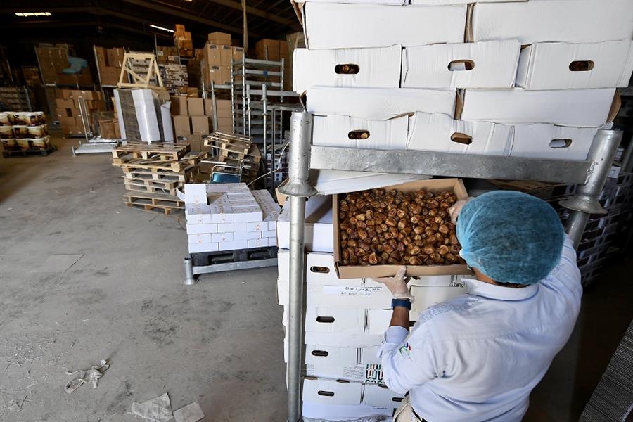 الغذاء والدواء تضبط أطناناً من المنتجات المخالفة