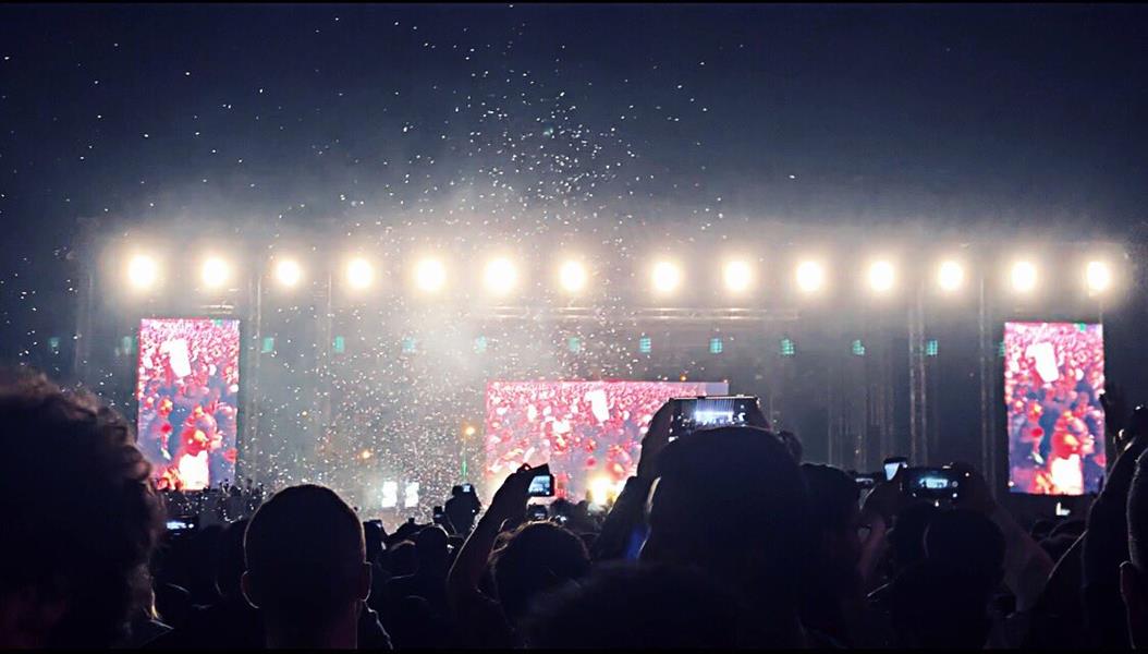 جانب من الحفل