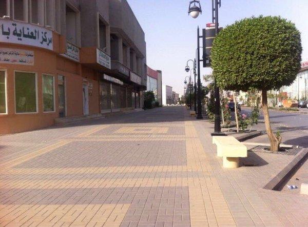 الصور الصور