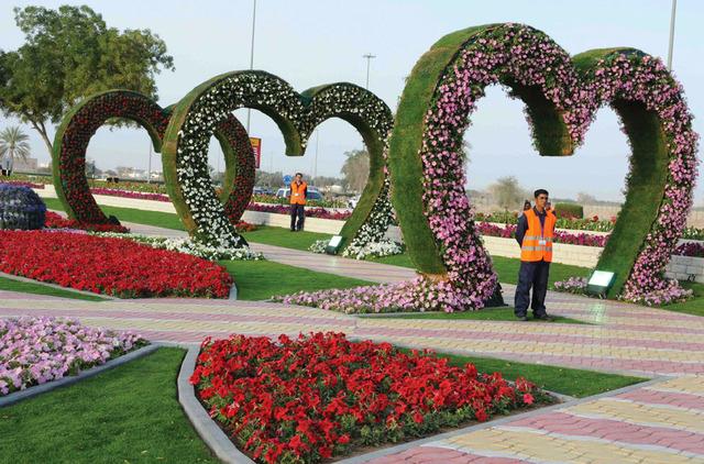 العين تتكحل بمليوني زهرة