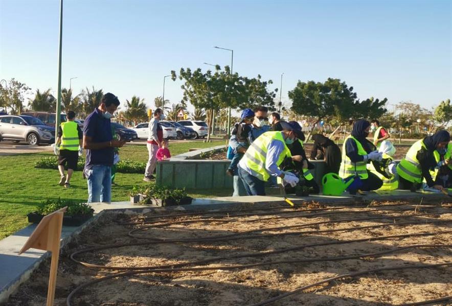 الهيئة الملكية بينبع تدشن مبادرة "واجهتنا خضراء".. والسكان يتفاعلون (صور) 