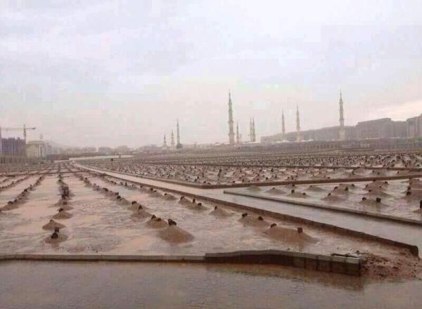  أمطار المدينة