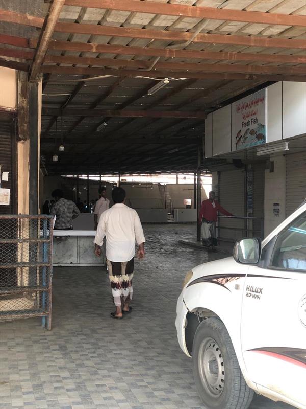  سوقي المحلة غوان وأبوالقعايد