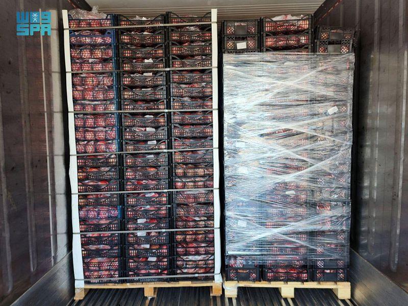 إحباط تهريب 12.7 مليون قرص مخدر والقبض على مستقبليها من 3 جنسيات 