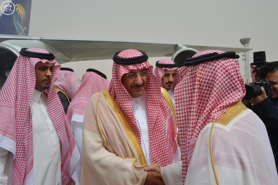 الصور الصور