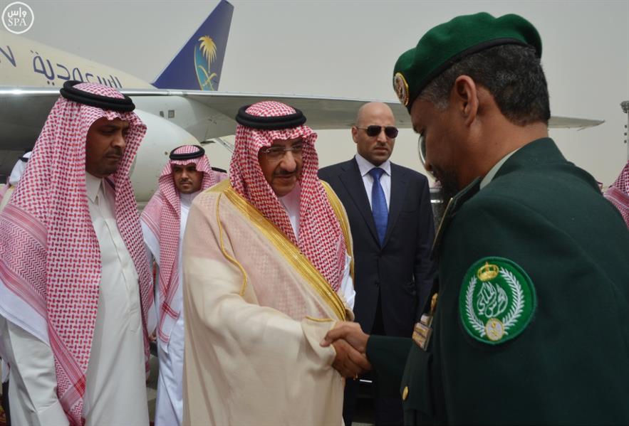 الصور الصور