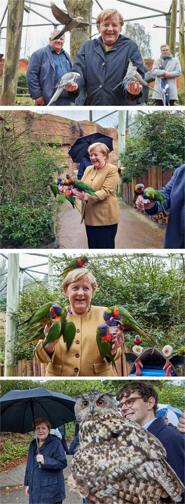 المستشارة الألمانية أنجيلا ميركل في حديقة الطيور المستشارة الألمانية أنجيلا ميركل في حديقة الطيور