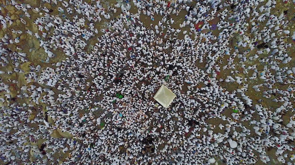 أجمل لقطات الحج في صور استثنائية.. روحانية المكان وسكينة المشاعر