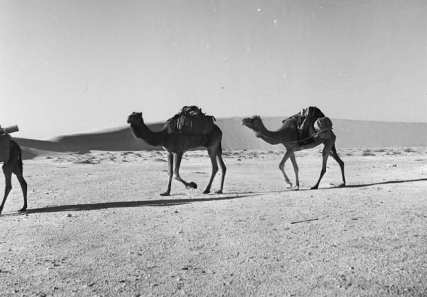 كيف كانت الأوضاع الاقتصادية بعد تأسيس الدولة السعودية والحرف التي كان الناس يمارسونها؟  