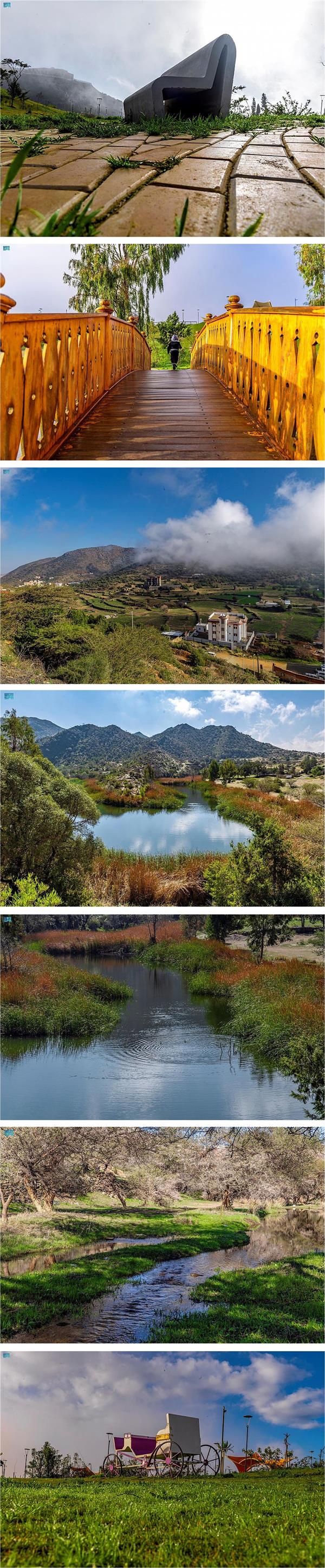  لقطات من الباحة لأجواء ربيعية وطبيعة مبهرة لوديانها 