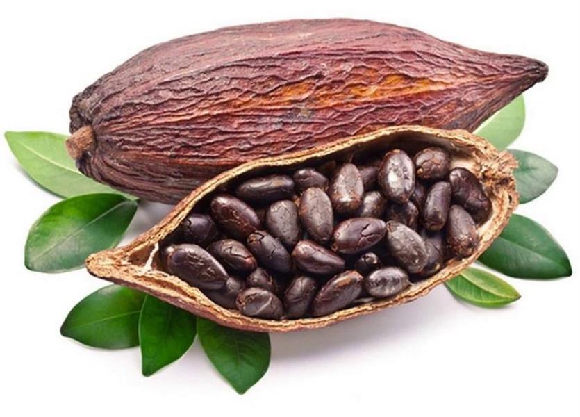 ثمرة الكاكاو