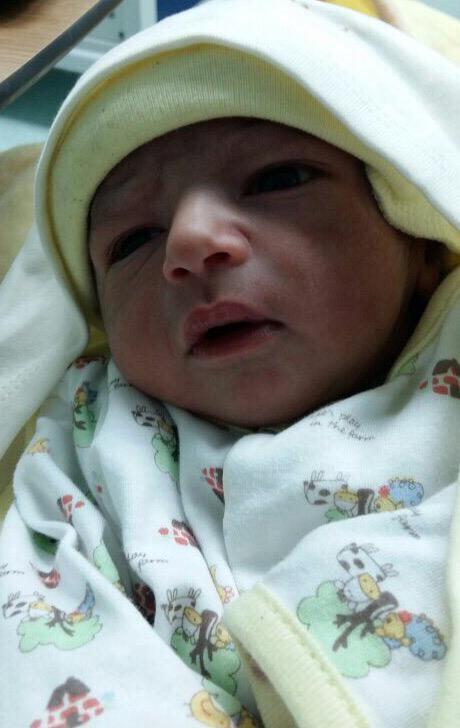 المولود المولود