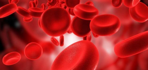 طبيب يوضح أهمية التبرع بصفائح الدم لإنقاذ المحتاجين‎