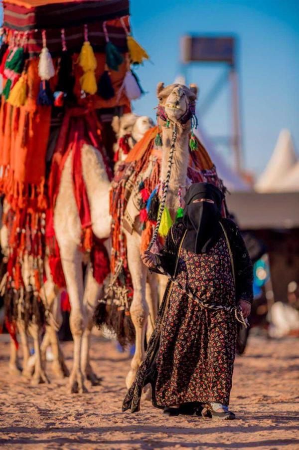 أم عواد.. سبعينية من الشمال تلفت الأنظار بمشاركاتها وعفويتها في المهرجانات الشعبية