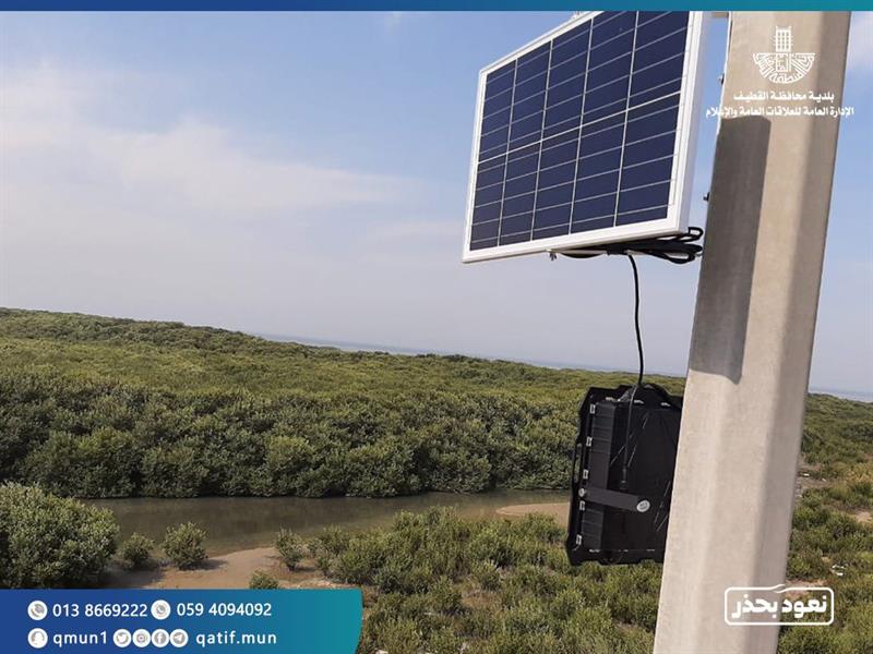 صور.. تركيب كاميرات لمراقبة أشجار المانجروف في جزيرة تاروت